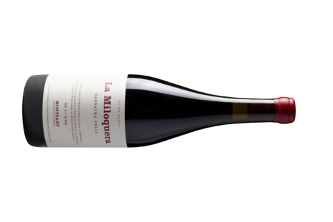 La Miloquera, Negre