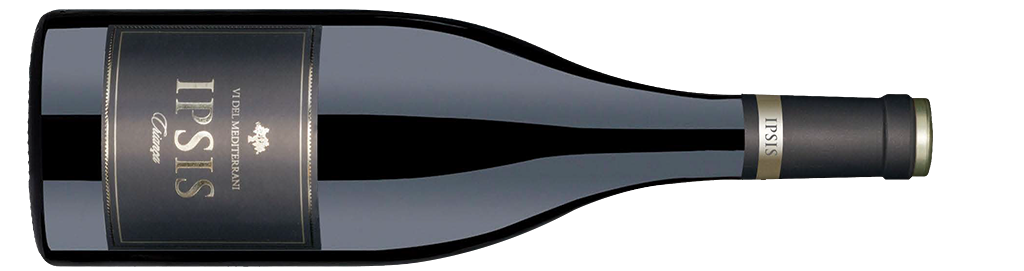 Ipsis Negre Criança, Negre