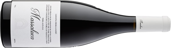 Massaluca Negre, Negre