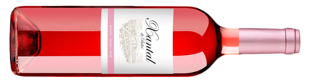 Xantal Rosat, Rosat