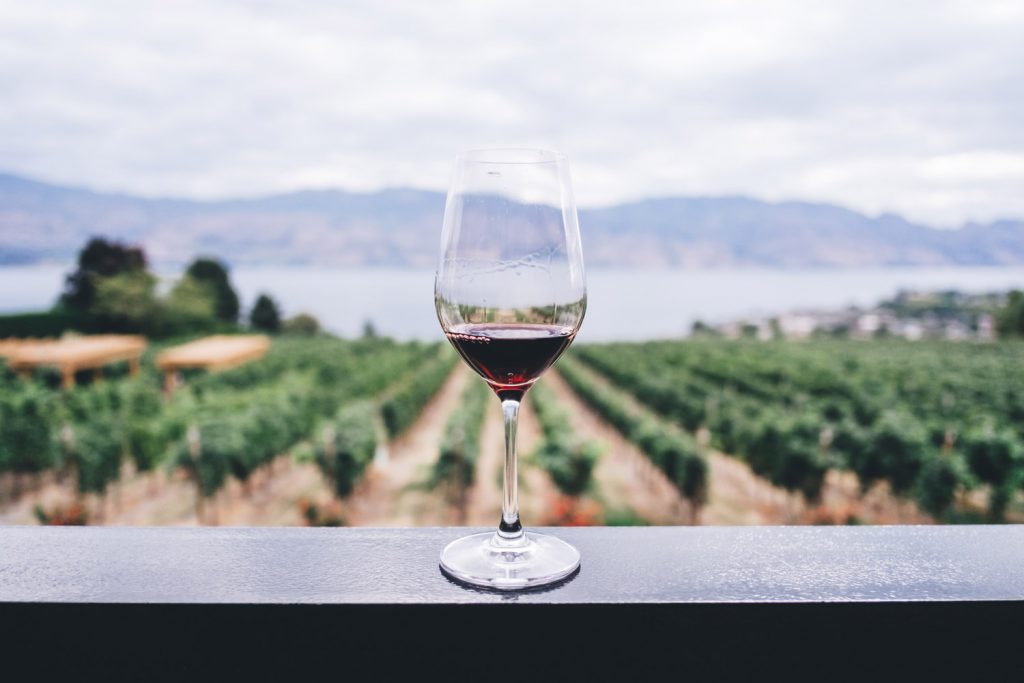 Distcavi, vins catalans